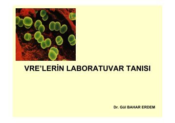 Vankomisine DirenÃ§li Enterokok Ä°nfeksiyonlarÄ± - Klimik