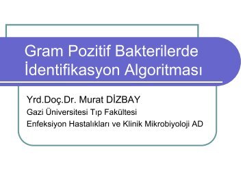 Gram Pozitif Bakterilerde Ä°dentifikasyon AlgoritmasÄ± - Klimik