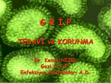 Grip: Tedavi ve Korunma - Klimik