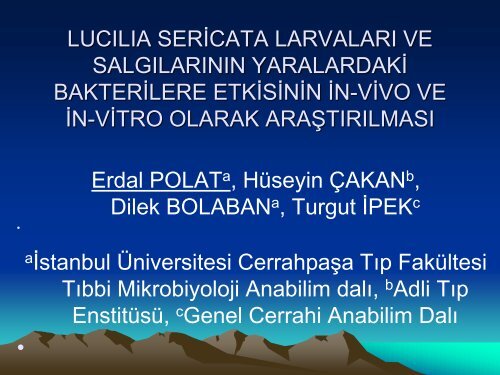 Larva tedavisi - Klimik