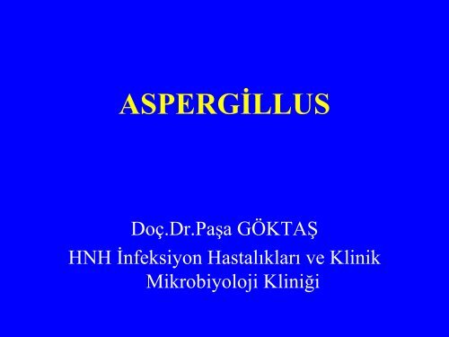 Aspergilloz: Yeni GeliÅmeler - Klimik