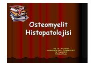Osteomyelit Histopatolojisi - Nil ÃulhacÄ± - Klimik