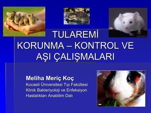 F. Tularensis - Klimik