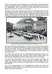 Maibaumgesellschaft - Chronik Teil 3 - Klosterlausnitz