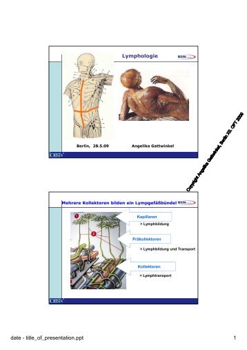 Lymphologie