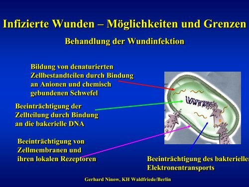 Infizierte Wunden – Möglichkeiten und Grenzen Infizierte Wunden ...