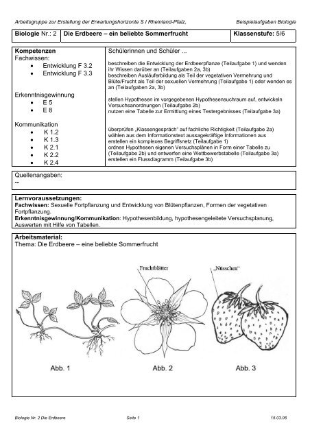 Die Erdbeere - eine beliebte Sommerfrucht - KMK-Projekt Format