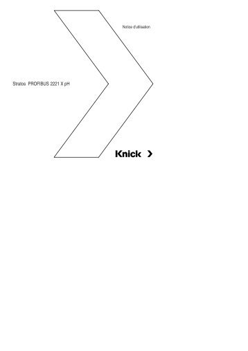 Stratos PROFIBUS 2221 X pH - Knick