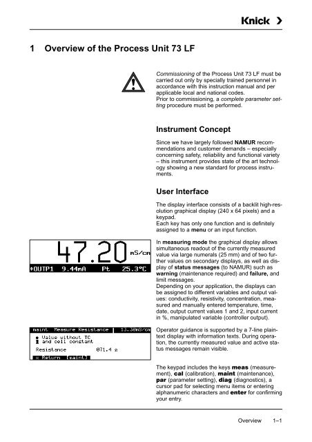 Process Unit 73 LF - Knick