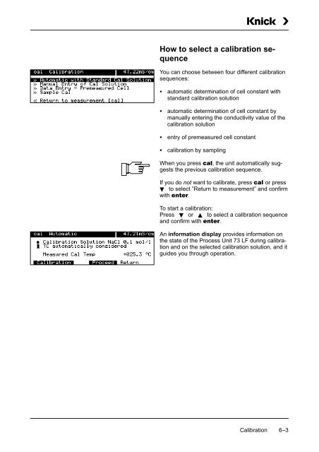 Process Unit 73 LF - Knick