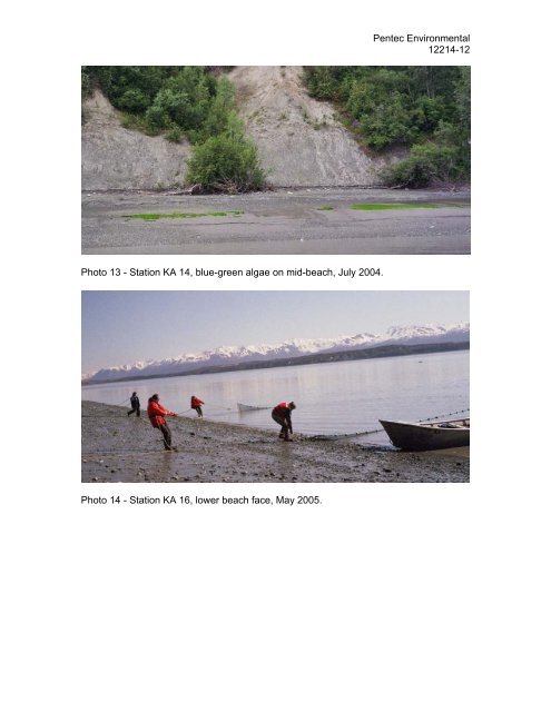 Marine Fish and Benthos Studies - Knik Arm Bridge and Toll Authority