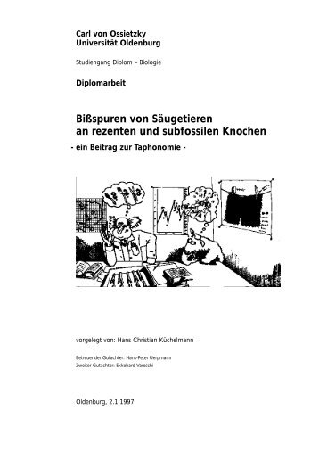 Bißspuren von Säugetieren an rezenten und ... - Knochenarbeit