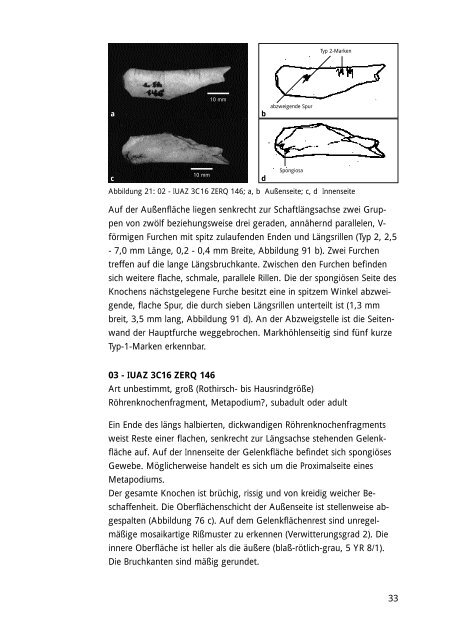 Bißspuren von Säugetieren an rezenten und ... - Knochenarbeit