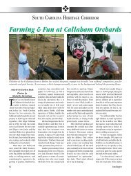 Farming & Fun at Callaham Orchards - Knowitall.org