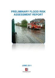 preliminary flo assessment r preliminary flood risk assessment report ...