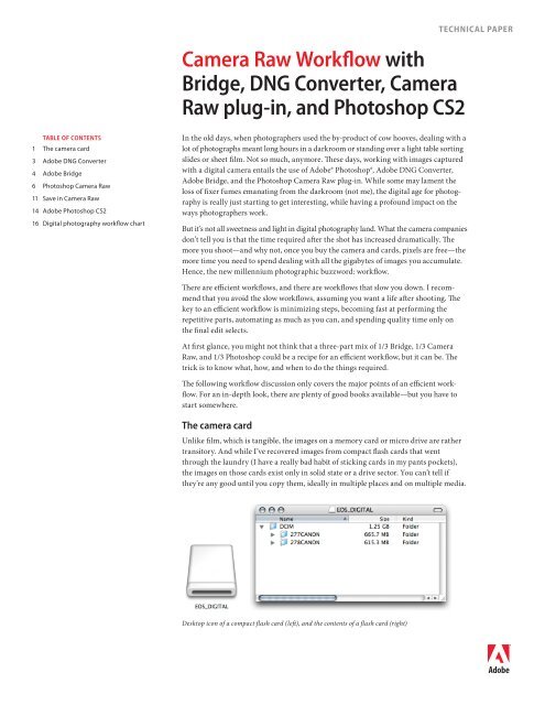 adobe camera raw and dng converter for mac