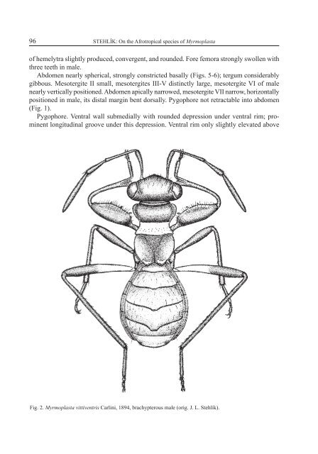 On the Afrotropical species of Myrmoplasta - Acta Entomologica ...