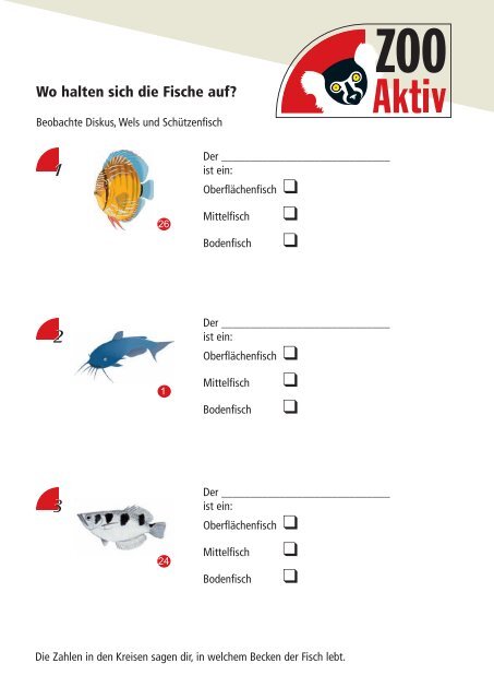 1 2 3 OberflÃ¤chenfisch Freiwasserfisch Bodenbewohner