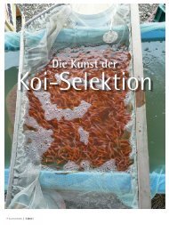 Die Kunst der - Koi.de