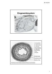 Eingeweidesystem