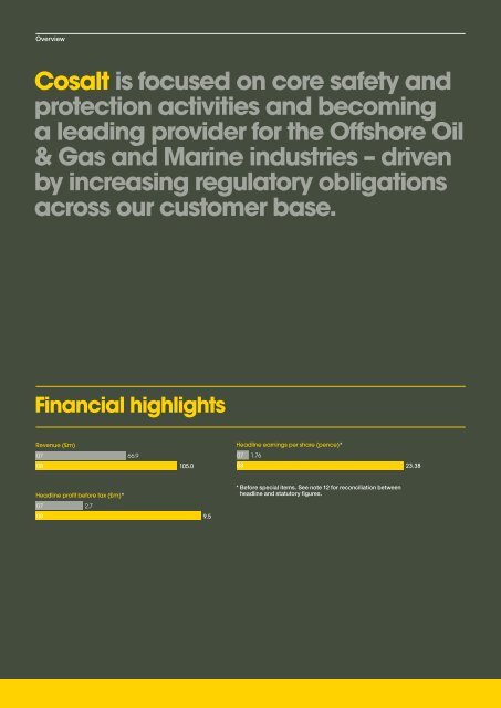 Cosalt plc Annual report & financial statements 2008