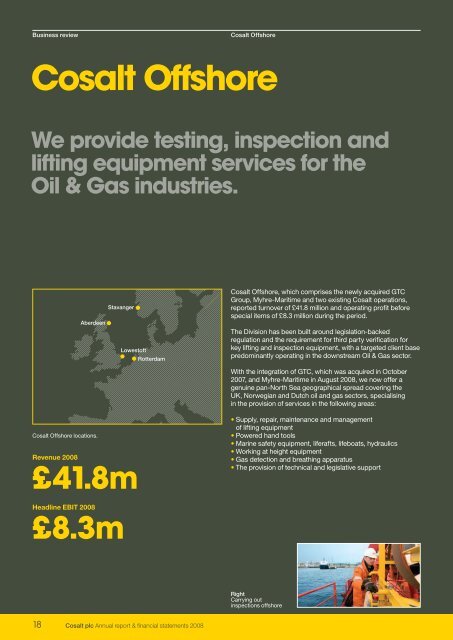 Cosalt plc Annual report & financial statements 2008