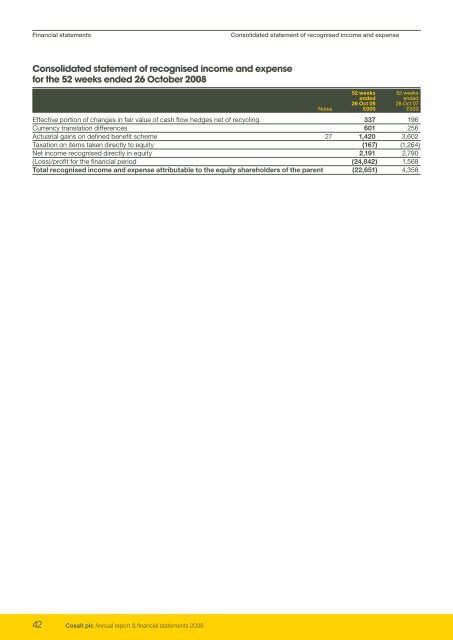 Cosalt plc Annual report & financial statements 2008