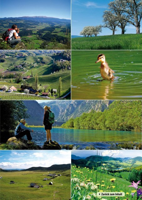 Steiermark Report Mai 2013 - einseitige Ansicht - Kommunikation ...