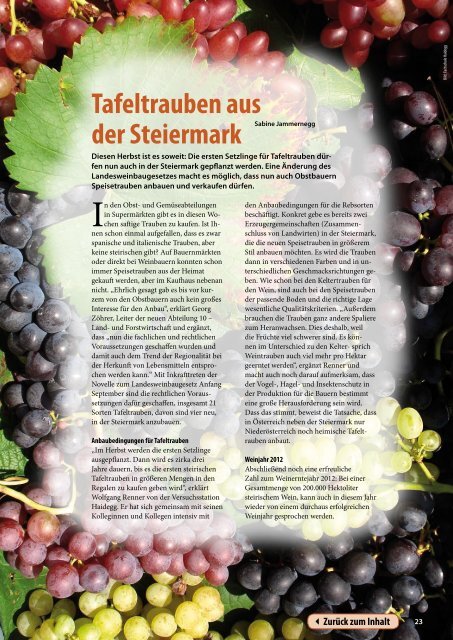 Steiermark Report Oktober 2012 - einseitige Ansicht (fÃ¼r kleinere ...