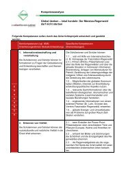 Kompetenzanalyse (pdf)