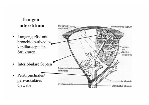 Interstitielle Lungenkrankheiten - Kongressanmeldung.de