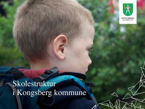 Skolestruktur i Kongsberg kommune