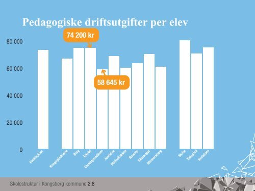 Skolestruktur i Kongsberg kommune