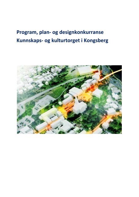 Program Plan Kongsberg Kommune