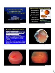 Retinal Detachment - Kontaktlinse Instituttet