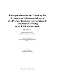 PDF-Datei - Institut für Kernphysik