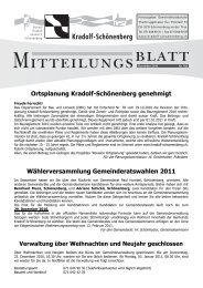 Mitteilungsblatt November 2010 - Gemeinde Kradolf-SchÃ¶nenberg