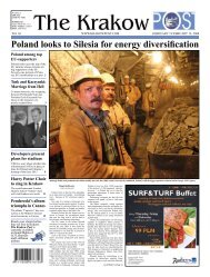 Poland looks to Silesia for energy diversification - Krakow Post