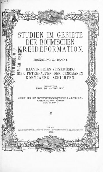 e-book zu 1. - Illustriertes Verzeichnis - kreidefossilien.de