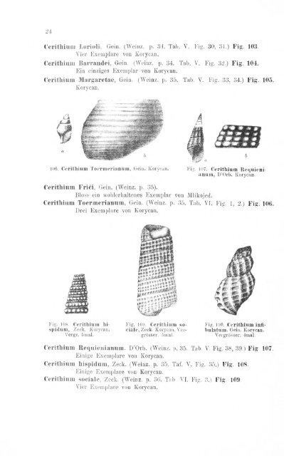 e-book zu 1. - Illustriertes Verzeichnis - kreidefossilien.de