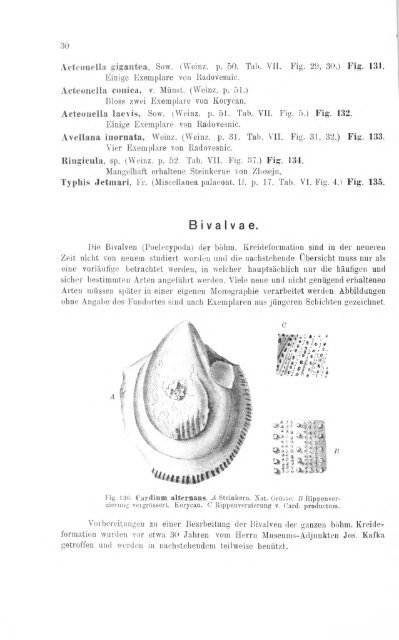 e-book zu 1. - Illustriertes Verzeichnis - kreidefossilien.de