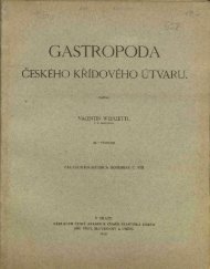 Gastropoda ceskÃ©ho kridovÃ©ho Ãºtvaru [Die ... - kreidefossilien.de