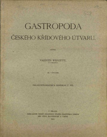 Gastropoda ceskÃ©ho kridovÃ©ho Ãºtvaru [Die ... - kreidefossilien.de