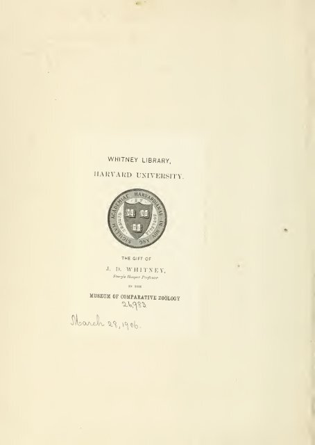 Geinitz, 1868. Die fossilen Fischschuppen aus ... - kreidefossilien.de