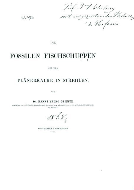 Geinitz, 1868. Die fossilen Fischschuppen aus ... - kreidefossilien.de