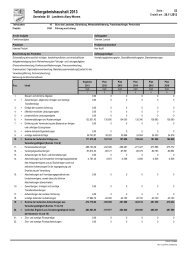 Teilergebnishaushalt 2013 - Landkreis Alzey-Worms