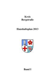 Haushaltsplan 2013 Band I - Kreis BergstraÃe