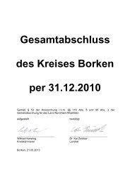 Gesamtabschluss des Kreises Borken per 31.12.2010 - Kreis Borken
