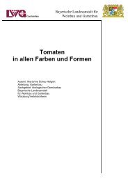 Tomaten in allen Farben und Formen - Bayerische Landesanstalt fÃ¼r ...