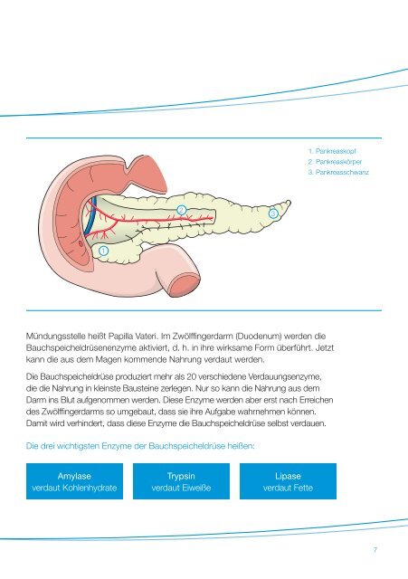 Patienten-Information - Kreon